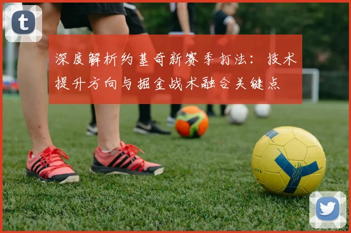 深度解析约基奇新赛季打法:技术提升方向与掘金战术融合关键点
